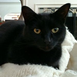 Meet your Posher, Hg